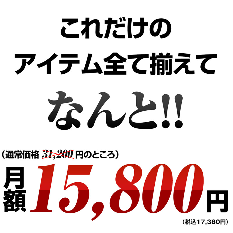 これだけ揃って月額15,800円！（税別）